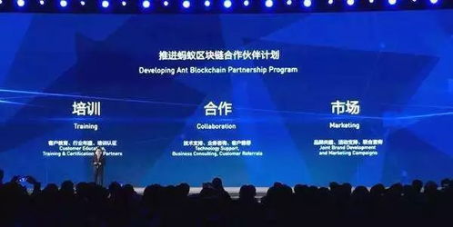 世界互聯網大會靚點紛呈 15項領先黑科技照亮未來
